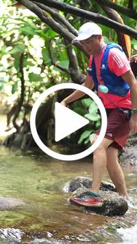 BIB:  <button type="button" onclick="openModal(27825454)" class="btn btn-primary btn-sm float-right" data-toggle="modal" data-target=".modal-high-quality">
                <i class="fa fa-download"></i> Download
                </button>